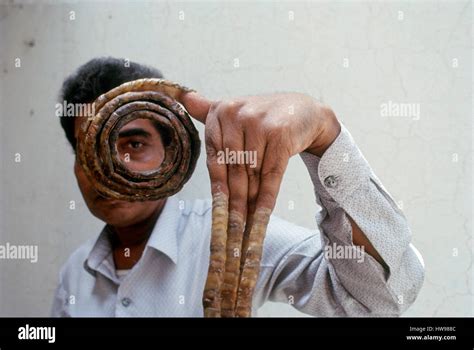 Shridhar Chillal, longest fingernails Guinness world record, India, Asia Stock Photo - Alamy