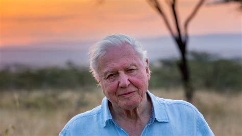 Our Planet review: Why David Attenborough's Netflix series Our Planet ...