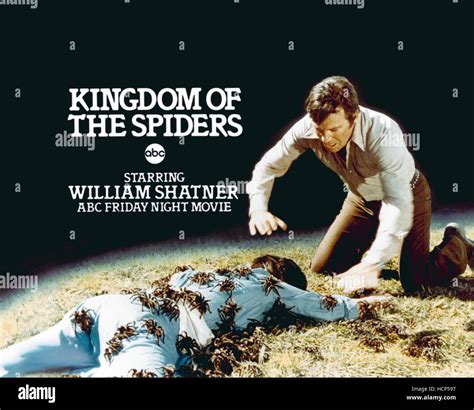 KINGDOM OF THE SPIDERS, William Shatner, 1977 Stock Photo - Alamy