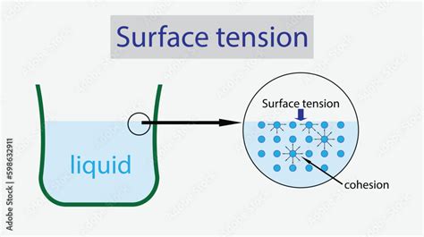 illustration of physics, Water has a surface tension, Surface tension ...