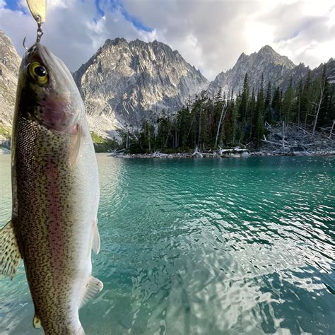 ᐅ Colchuck Lake fishing reports🎣• Wenatchee, WA (United States) fishing