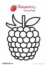 Raspberry Coloring Pages For Kids – Free Printables  Art & Craft sketch template