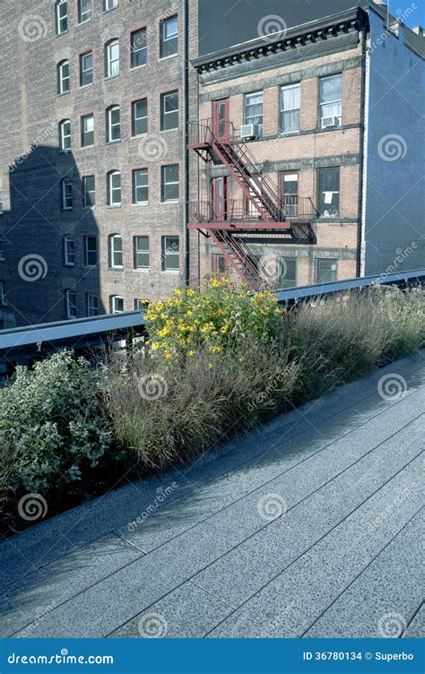 Scenic Views Along the High Line Stock Photo - Image of brick, touristic: 36780134