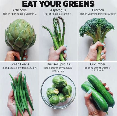 Why You Should Eat a Wide Variety of Green Vegetables - MeowMeix