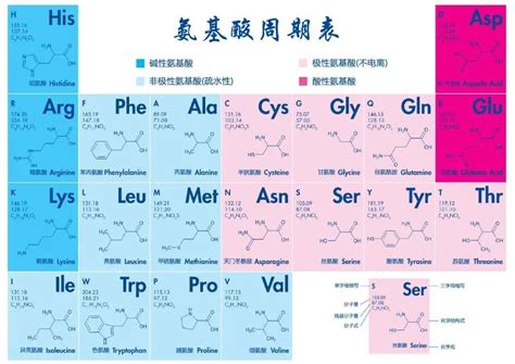 氨基酸表活在个人护理品中的应用 - 知乎