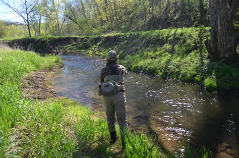 TROUT TRIPS — Wisconsin Fly Fishing Company