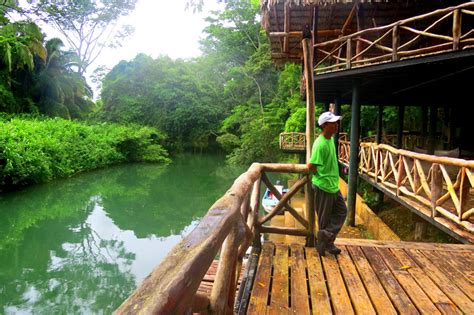 Jungle Lodge, Belize