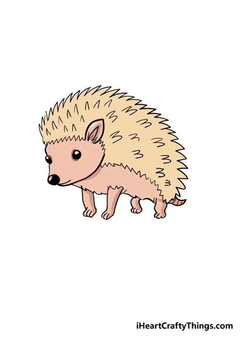 Hedgehog Drawing - How To Draw A Hedgehog Step By Step