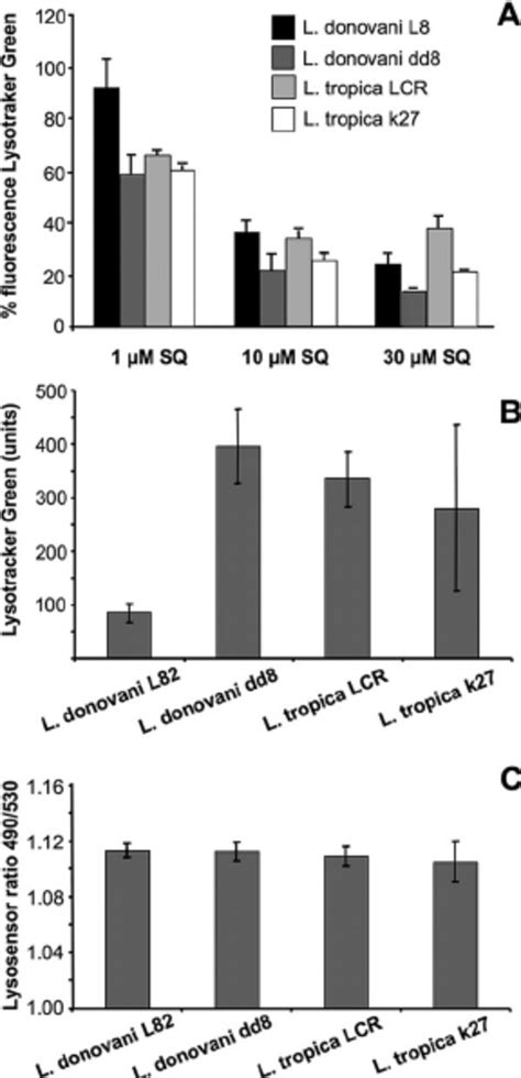 Lysotracker Green and Lysosensor Yellow-Blue accumulation in Leishmania ...