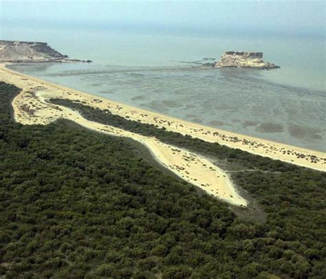 Qeshm Island | Geopark, Canyons & Stars Valley! | +Photo & Full Guide