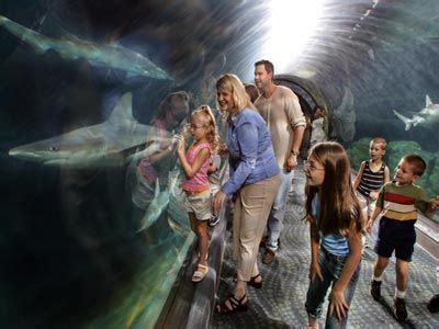 Adventure Aquarium at Camden Waterfront. #SEPTA Routes: 21, 33, 25, 42 ...