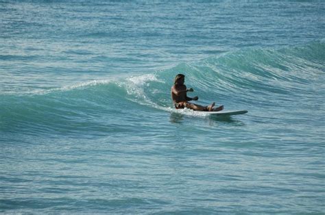 Surfing in Barbados | Barbados, Surfing, Waves