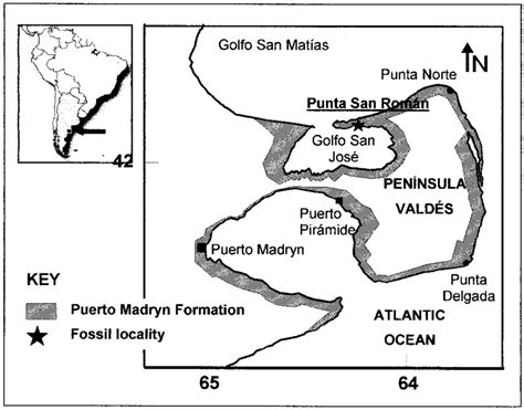 Map of Península Valdés showing the fossil locality. | Download ...