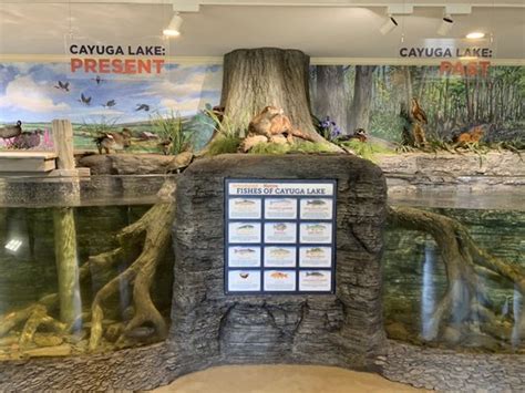 CAYUGA NATURE CENTER - Updated November 2024 - 28 Photos & 11 Reviews - 1420 Taughannock Blvd ...