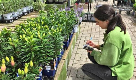 Garden centres open: When will garden centres reopen, will they be open in bank holiday ...