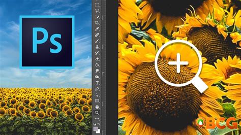 How to Zoom in Photoshop: 5 Easy Ways to Zoom in and Out of an Image | BCG