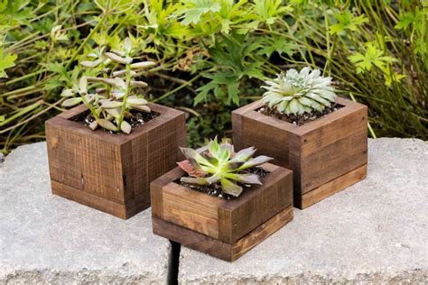 Succulent Planter Small Succulent Display Gift for Her Wood - Etsy