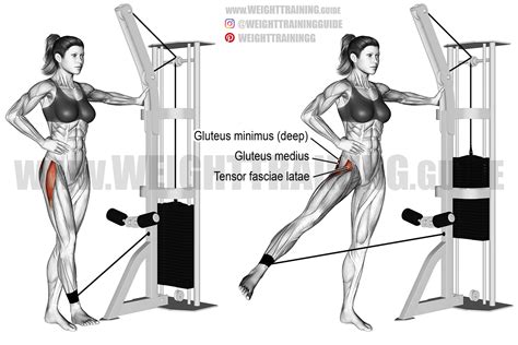 Cable hip abduction exercise instructions and video | WeightTraining.guide