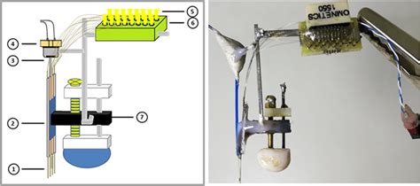 LD-OF-tetrode assembly for optogenetic control in freely-moving mice ...