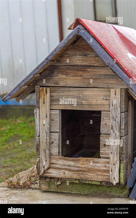 Old Dog House Made From Wood Planks Stock Photo - Alamy