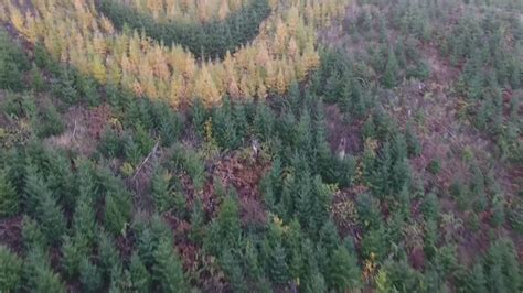 Giant ‘Smiley’ Appears On Oregon Mountainside - Videos from The Weather ...