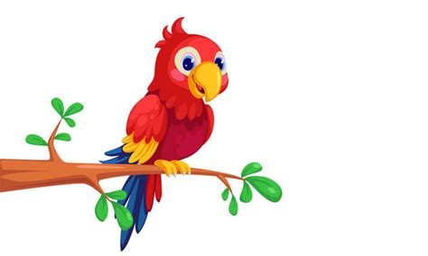 30,949 BEST Parrot Cartoon IMAGES, STOCK PHOTOS & VECTORS | Adobe Stock