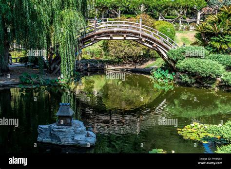 Wooden bridge over pond in Japanese garden Stock Photo - Alamy