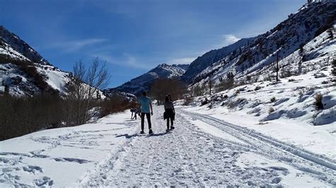 Winter Adventures in Bishop, CA | Bouldering, Snowshoeing, Skiing, etc...