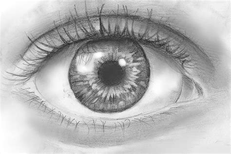 how to draw: How to Draw an Eye in Pencil