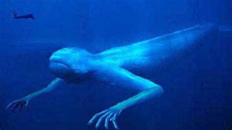 Ningen Humanoid Giant Sea Creature from Antarctic Ocean | Deep sea ...