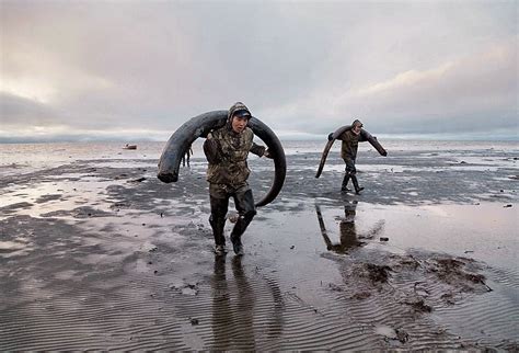 Extraction of Mammoth tusks in Siberia