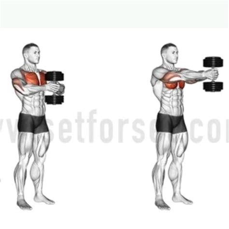 Dumbbell Workout For Chest Standing | EOUA Blog