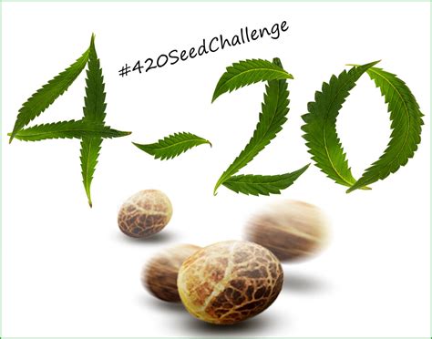 The 420 Plant-a-Seed-a-Thon Challenge #420SeedChallenge