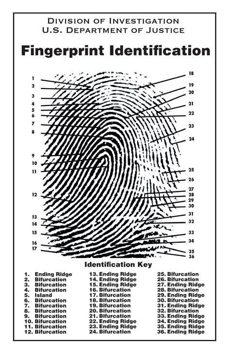 Fingerprinting with Ink - ForensiKit by Crime Scene