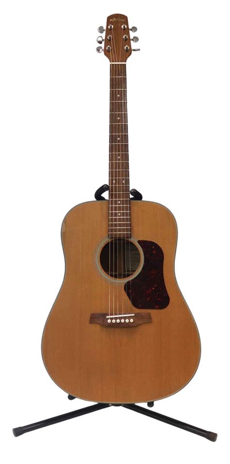 WALDEN D570 ACOUSTIC GUITAR | Golden Pawn