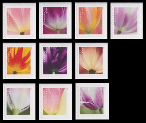 US 5777-5786 Tulip Blossoms forever set (10 stamps from coil) MNH 2023 ...