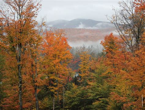 Adirondacks | Fall foliage, Foliage, Scenery