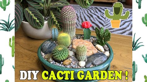 DIY Indoor Mini Cacti Garden! - YouTube