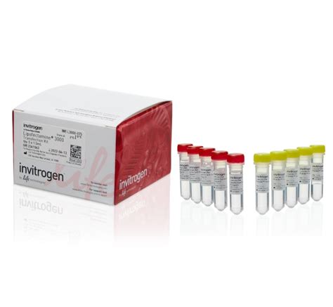 Invitrogen™ Lipofectamine™ 3000 Transfection Reagent 5 x1.5 mL Products ...