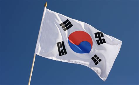 Hand Waving Flag South Korea - 12x18" - Royal-Flags