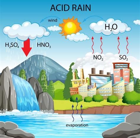 Free Vector | Diagram showing acid rain pathway | School science ...