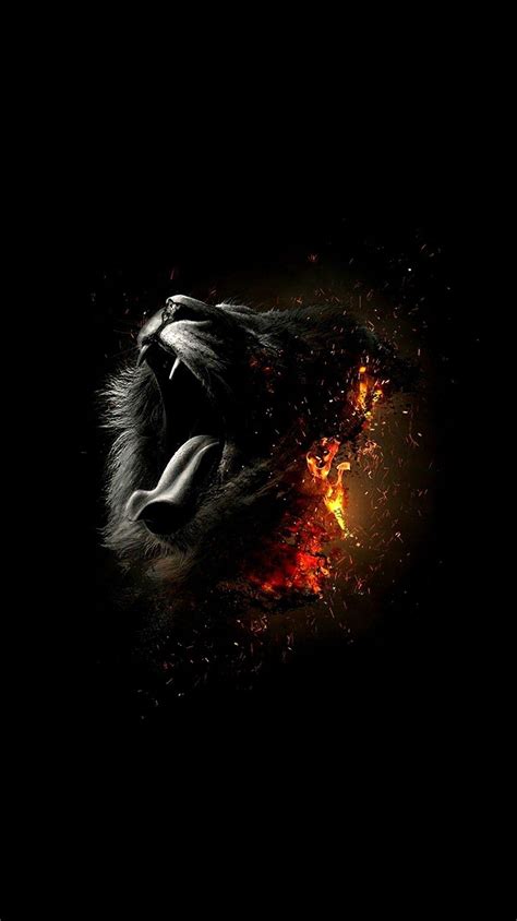 Black Lion Wallpapers - Top Free Black Lion Backgrounds - WallpaperAccess