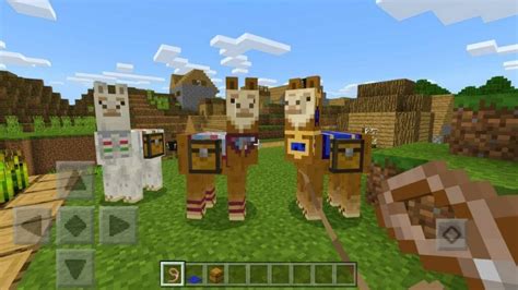 Minecraft Llama: Locations, Behaviour, uses and more!