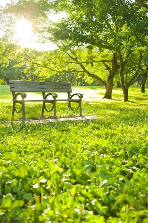 Garden bench stock image. Image of green, flower, square - 264474243