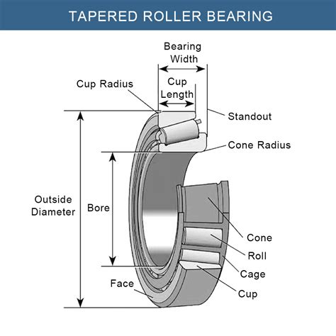 Tapered Roller Bearing vs Spherical Roller Bearing | LILY Bearing