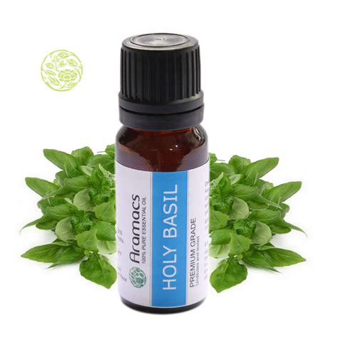 Holy Basil Oil - Pure Holy Basil Essential Oil - Where to Buy Holy Basil Oil?