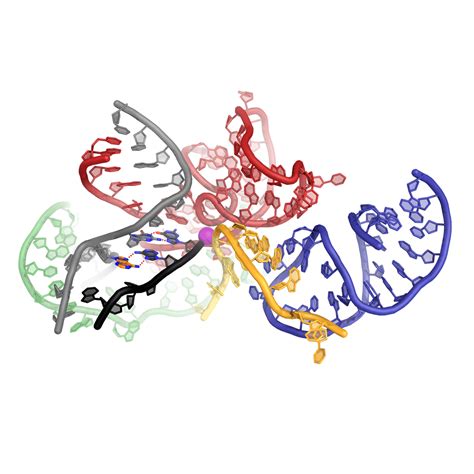 Spliceosome catalysis: the completed puzzle - MRC Laboratory of Molecular Biology