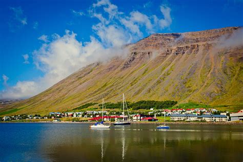 Beautiful view of icelandic fjord and city in iceland with red houses ...