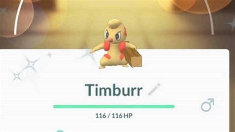 Can Timburr be shiny in Pokemon GO? (December 2022)