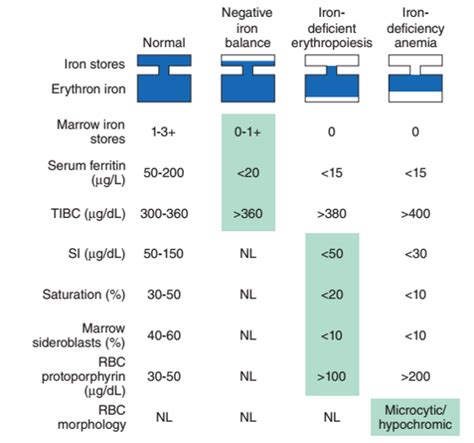 Iron Deficiency Anemia, Oral and Intravenous Iron Therapy, Dose and Recommendations: Dr. Adil ...